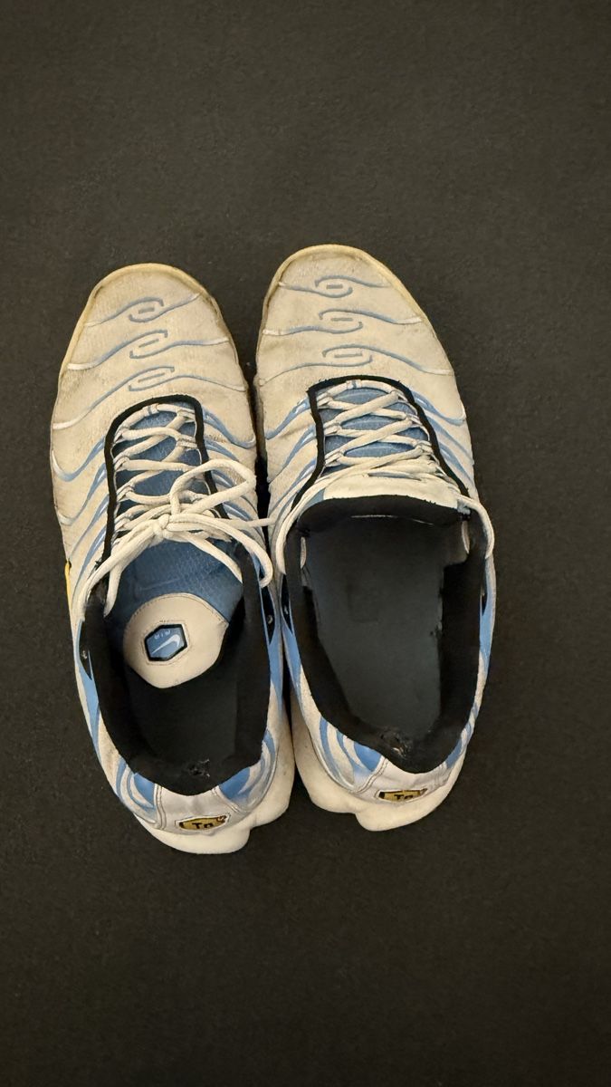 Nike Herrenschuhe: Nike Tn Air Max Plus Grösse 47.5 gebraucht – Gebraucht aus Altenrhein von wer_q2p6