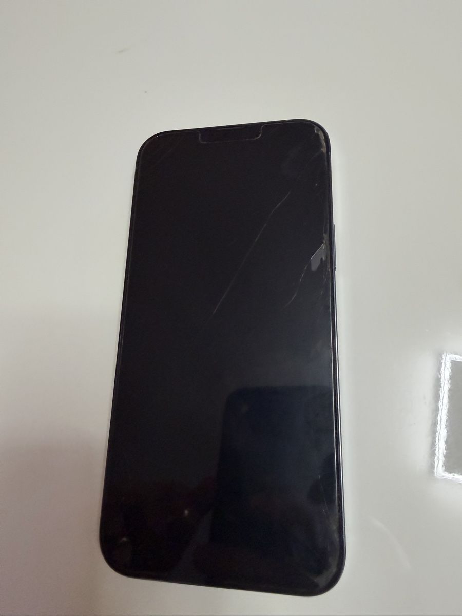 Apple Telefoni cellulari / Smartphones: Iphone 13 Pro max 256 GB – Usato da Thun venduto da Elwoodblues 1