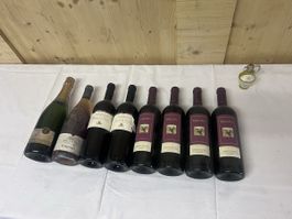 Weinsortiment 8 Flaschen (17)