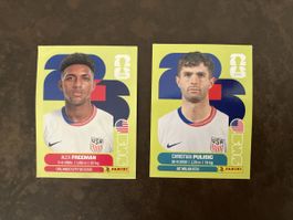 Panini USA 6 und 16