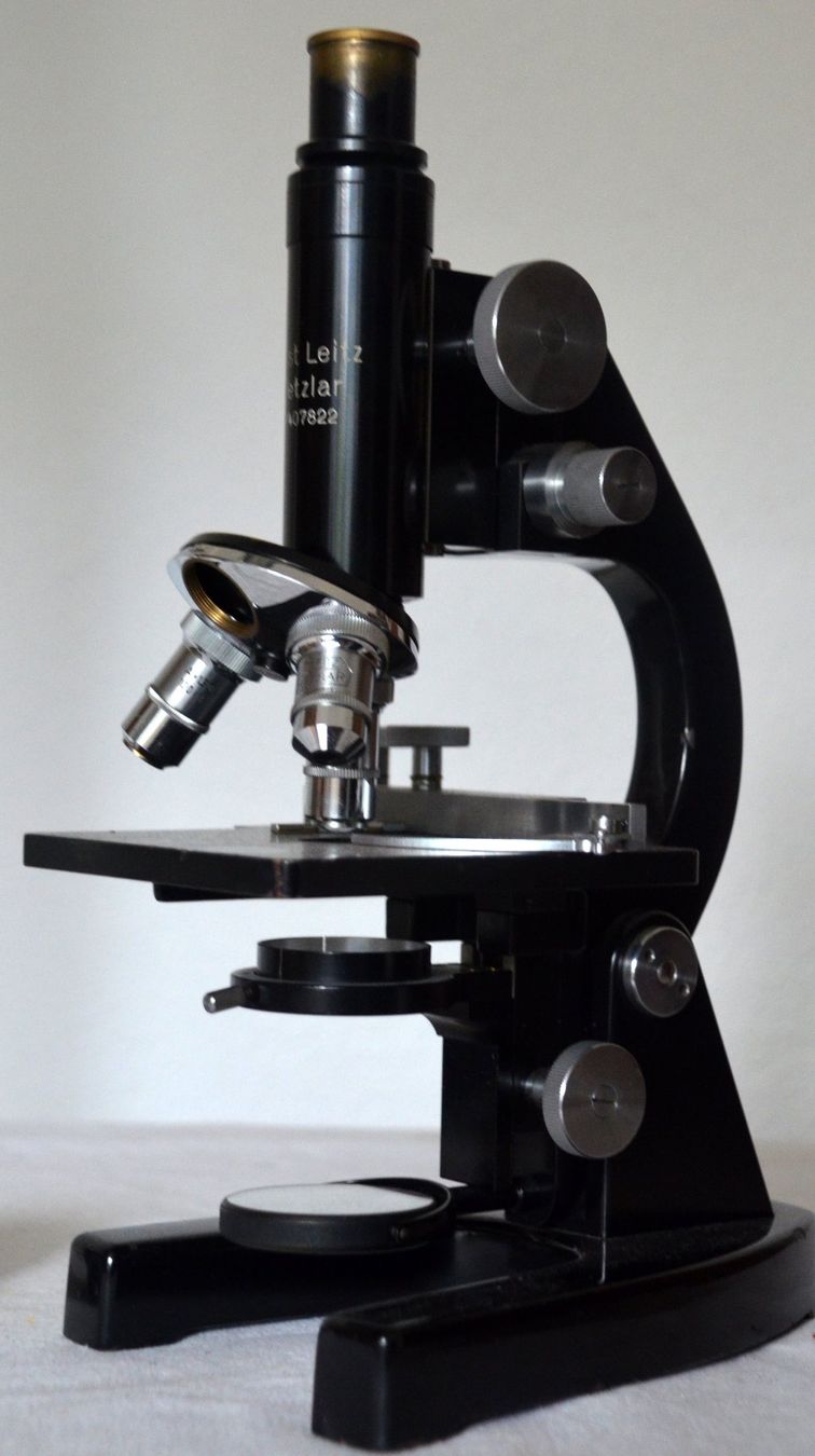 Leitz Microscopi: Ernst Leitz Wetzlar Mikroskop / microscope – Usato da Collonges venduto da arashee 5