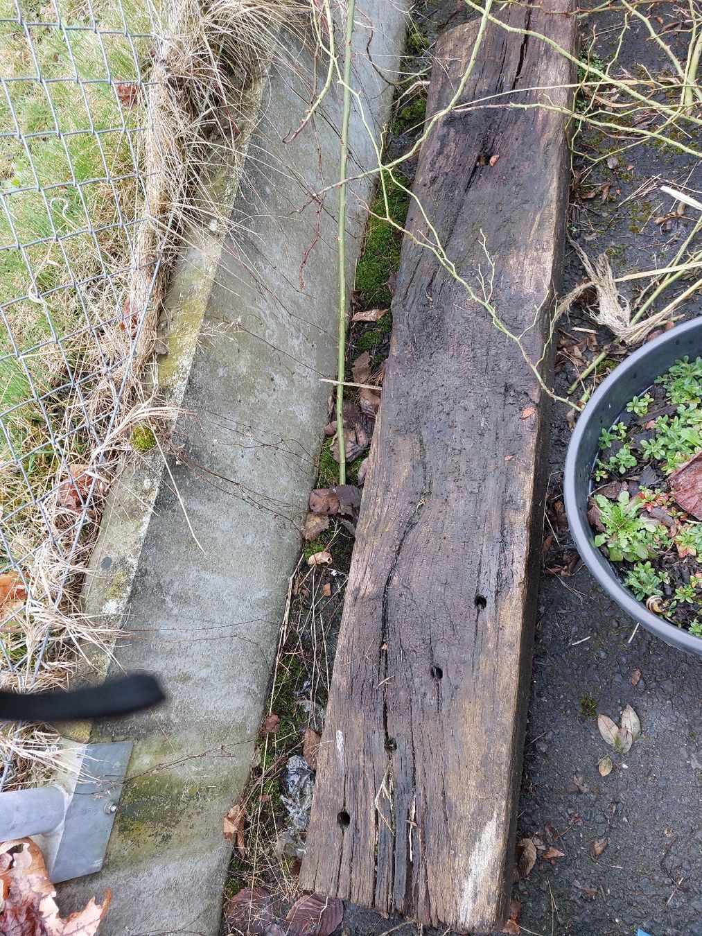 Articoli in legno: holz balken – Usato da Diepoldsau venduto da Tiaraa1 3