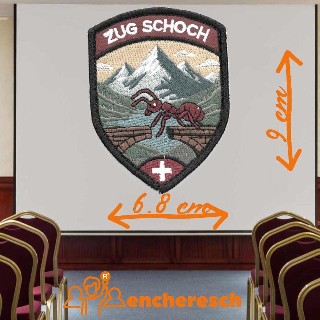 Schweizer Armee Plaketten & Abzeichen: Patch - Badge [ZUG SCHOCH] – Neu (gemäss Beschreibung) aus Bière von encheresch