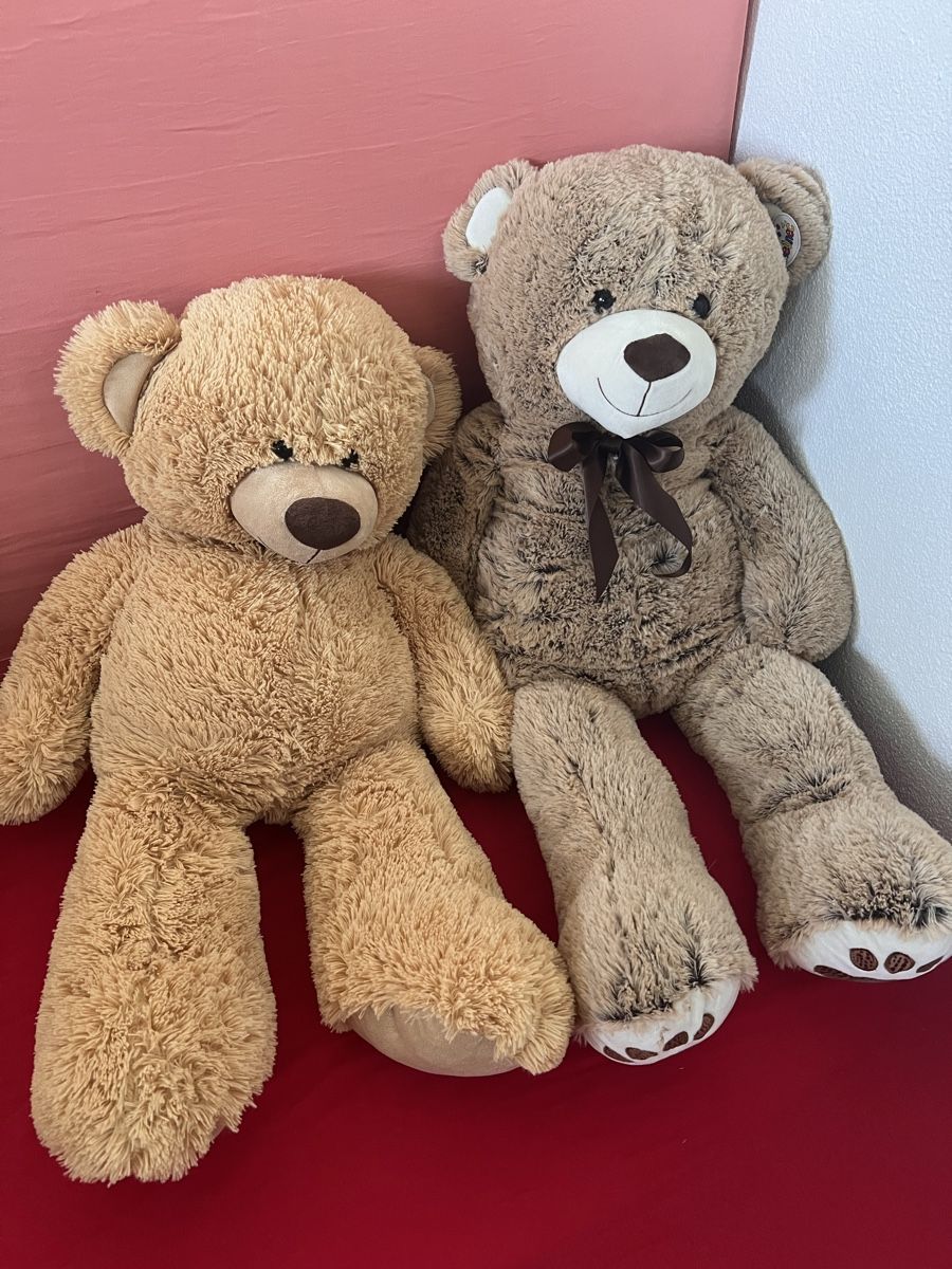 Bambole: 2 Teddy Bär – Usato da Uster venduto da SmartSales_zh