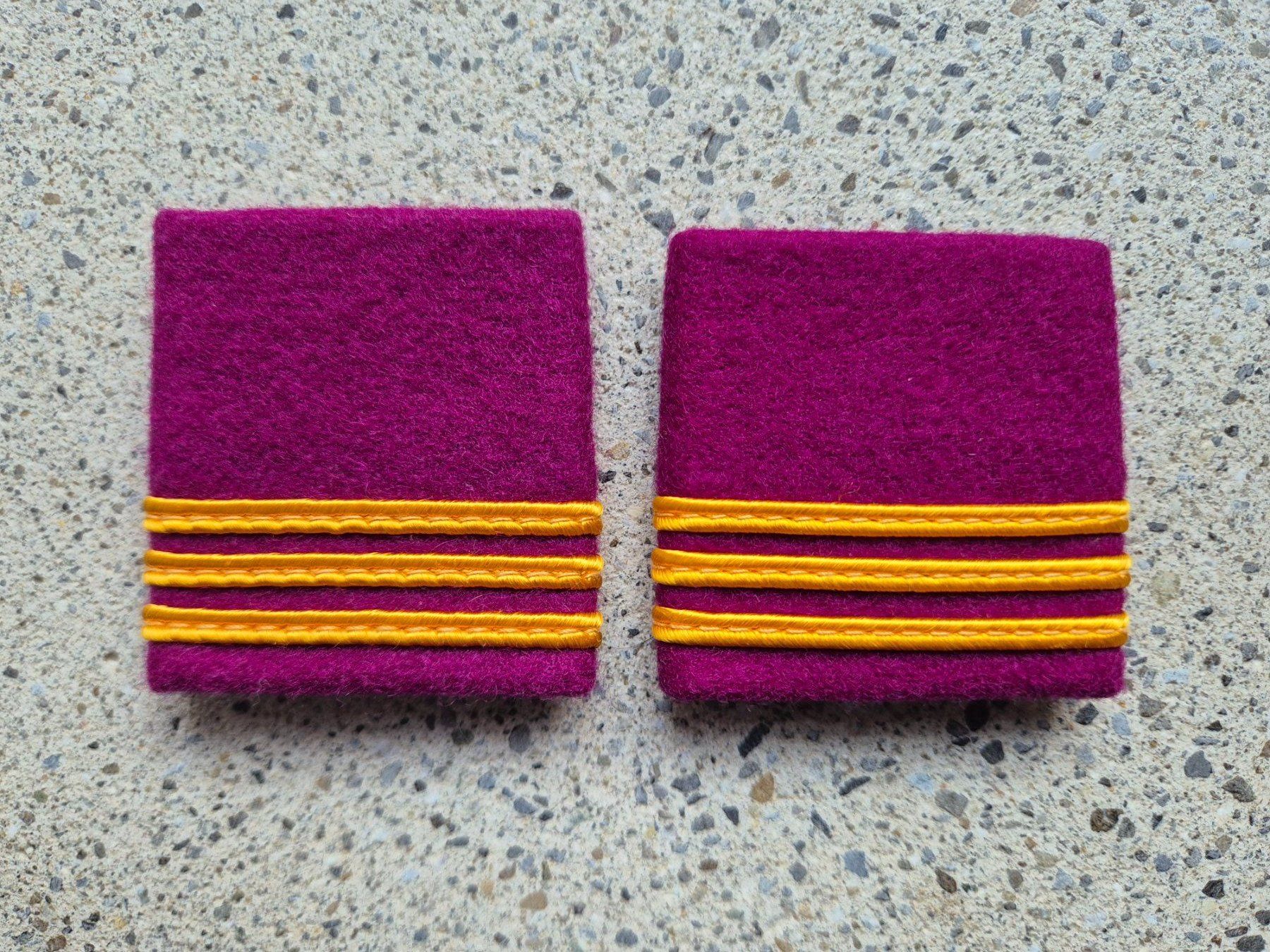 Schweizer Armee Placchette & Badge: * Gradabzeichen Patten Set Hauptmann Logistik * – Nuovo e nell'imballaggio originale da Riedholz venduto da fr_sIruP