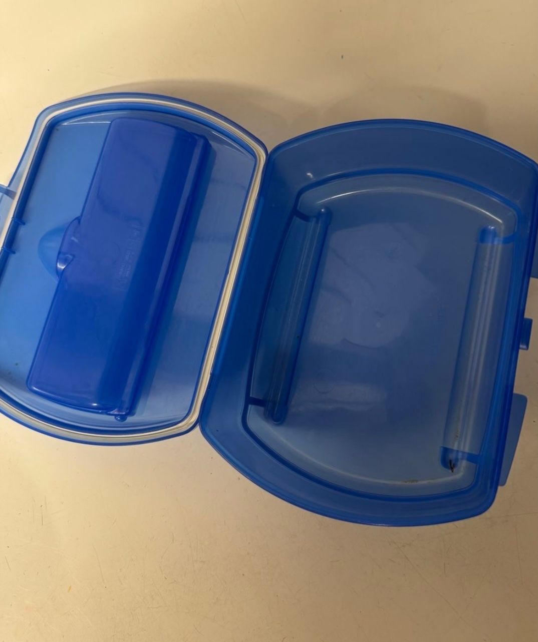 Contenitori & Simili: Blaue Lunchbox – Usato da Zürich venduto da zd_1965 1