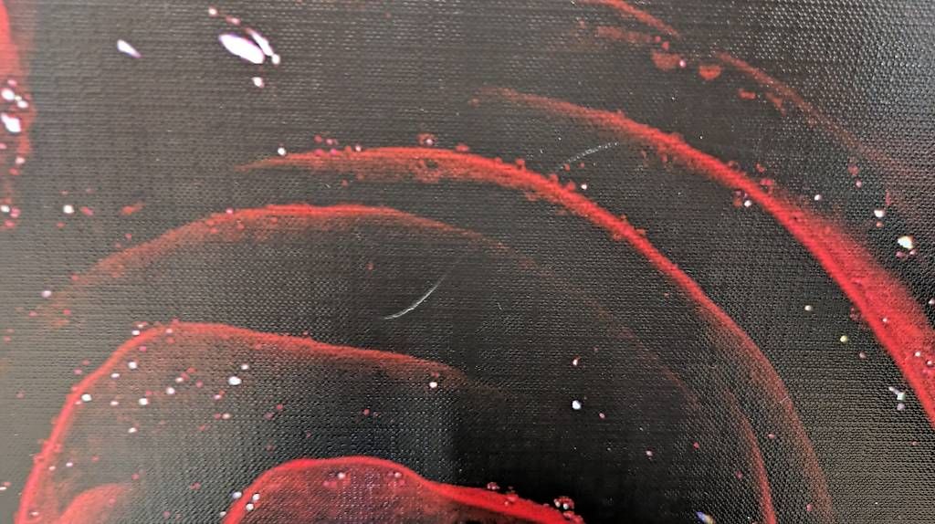 Foto & Immagini: Wandbild Rose – Usato da Breitenbach venduto da ani_tc2l 1