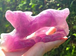 🐺💜 Fluorit Wolf 💜🐺679g