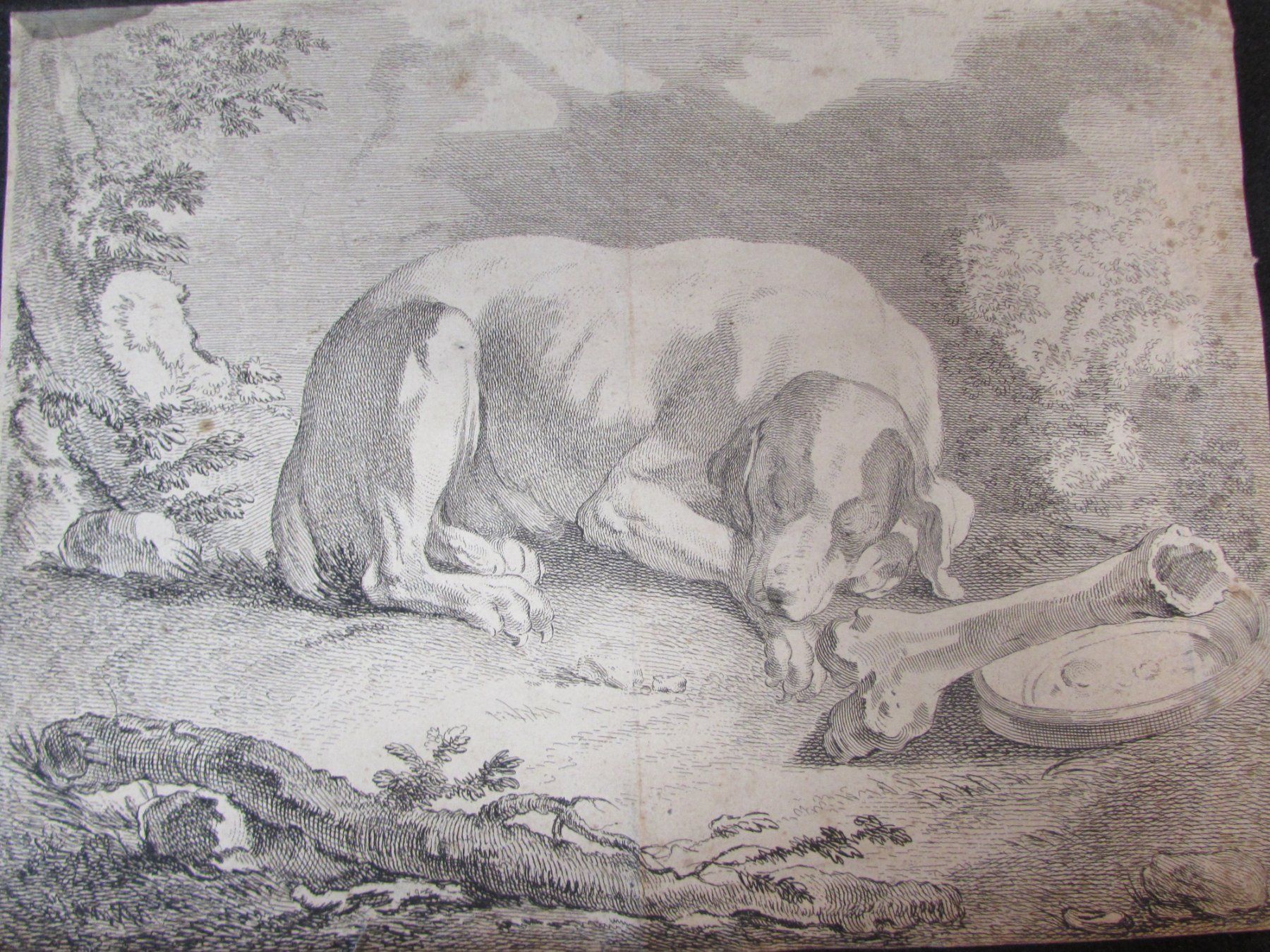 Stiche: 3 antike Hunde, 19.Jh. – Gebraucht aus Walchwil von Shells1 4
