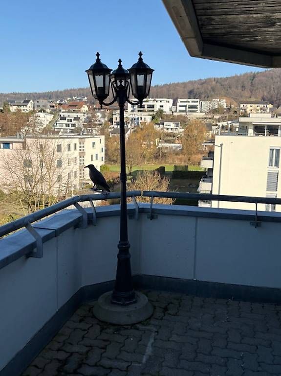 Lanterne: 2 Laternen  – Usato da Kaiseraugst venduto da nati0906