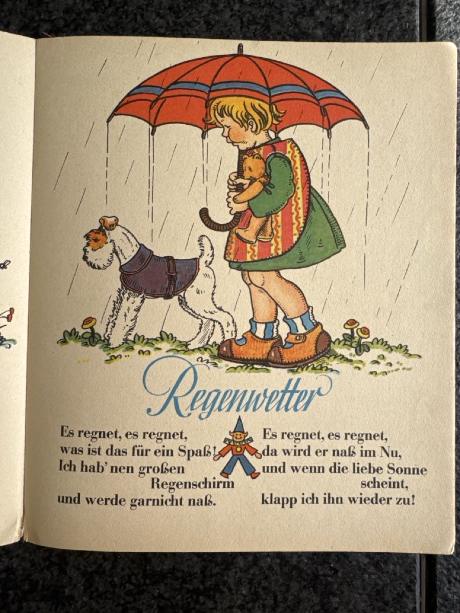 Libri: Kinderbuch Dildeldum, Buch Verlag F.W. Stritzinger – Usato da Eschenz venduto da Belladog 7