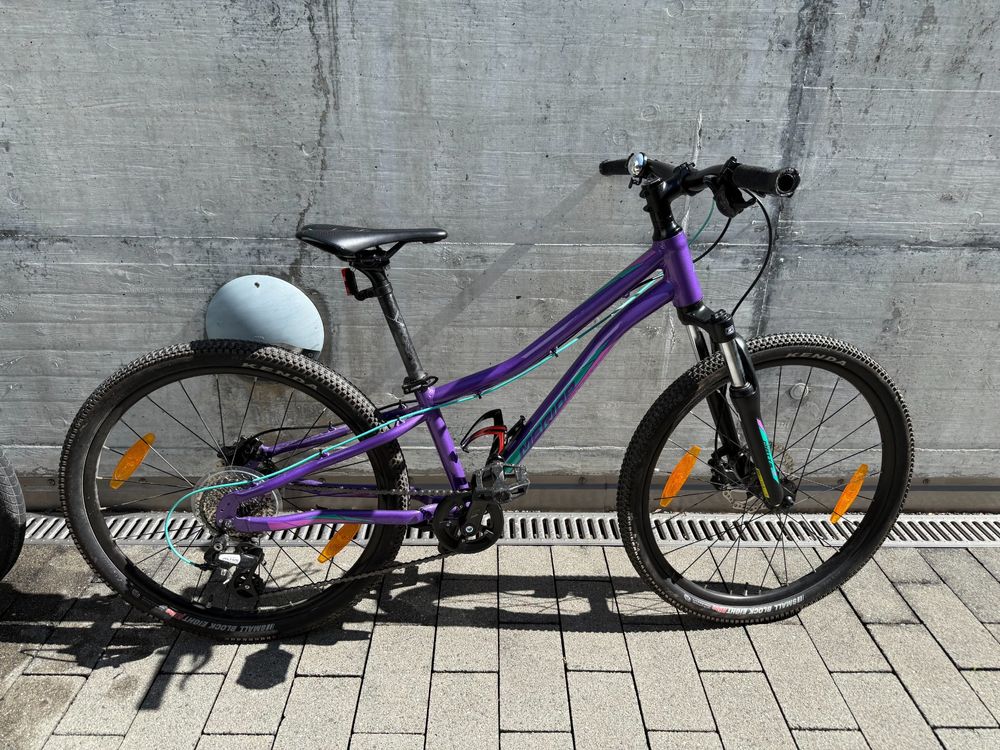 Merida Kids Bicycle (Matts J 24) (Gebraucht) in Erlenbach ZH für CHF ...