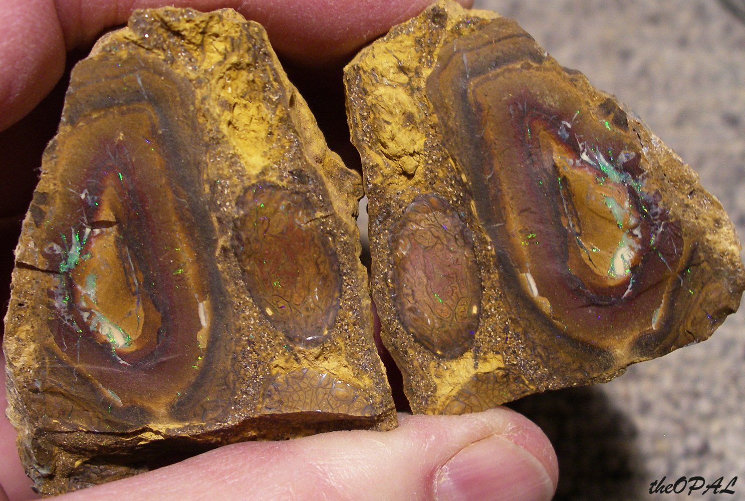 Minerali & Pietre curative: theOPAL*** ROHER BOULDER MATRIX NUSS OPAL SPLIT 750ct *** – Nuovo e nell'imballaggio originale da Ebnat-Kappel venduto da theOPAL