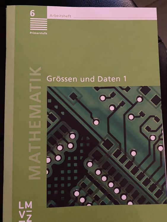 LMVZ Mathematik Primarstufe 6 | Kaufen Auf Ricardo