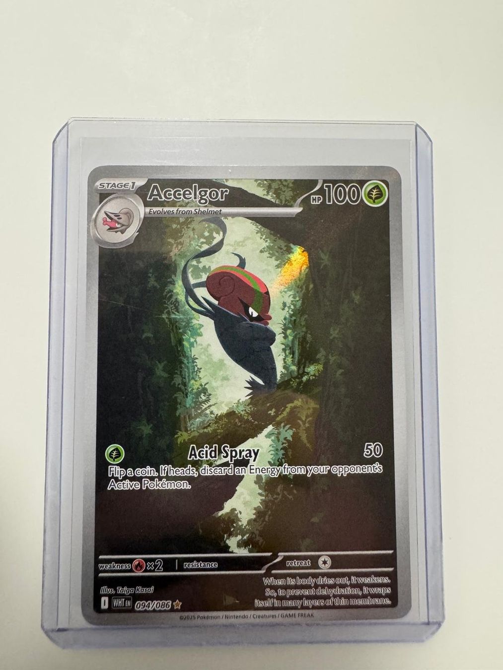 Pokémon Sammelbilder & Trading cards: Accelgor | Illustration Rare | WHT 094/086 | EN – Gebraucht aus Spreitenbach von Snacky96