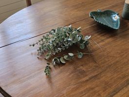 Lot de feuilles d'eucalyptus artificielle pour bricolage