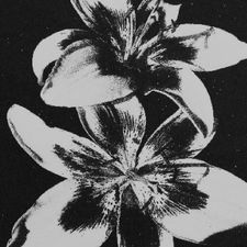 Profile image of kuc_zf2d