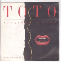 Toto - stranger in town