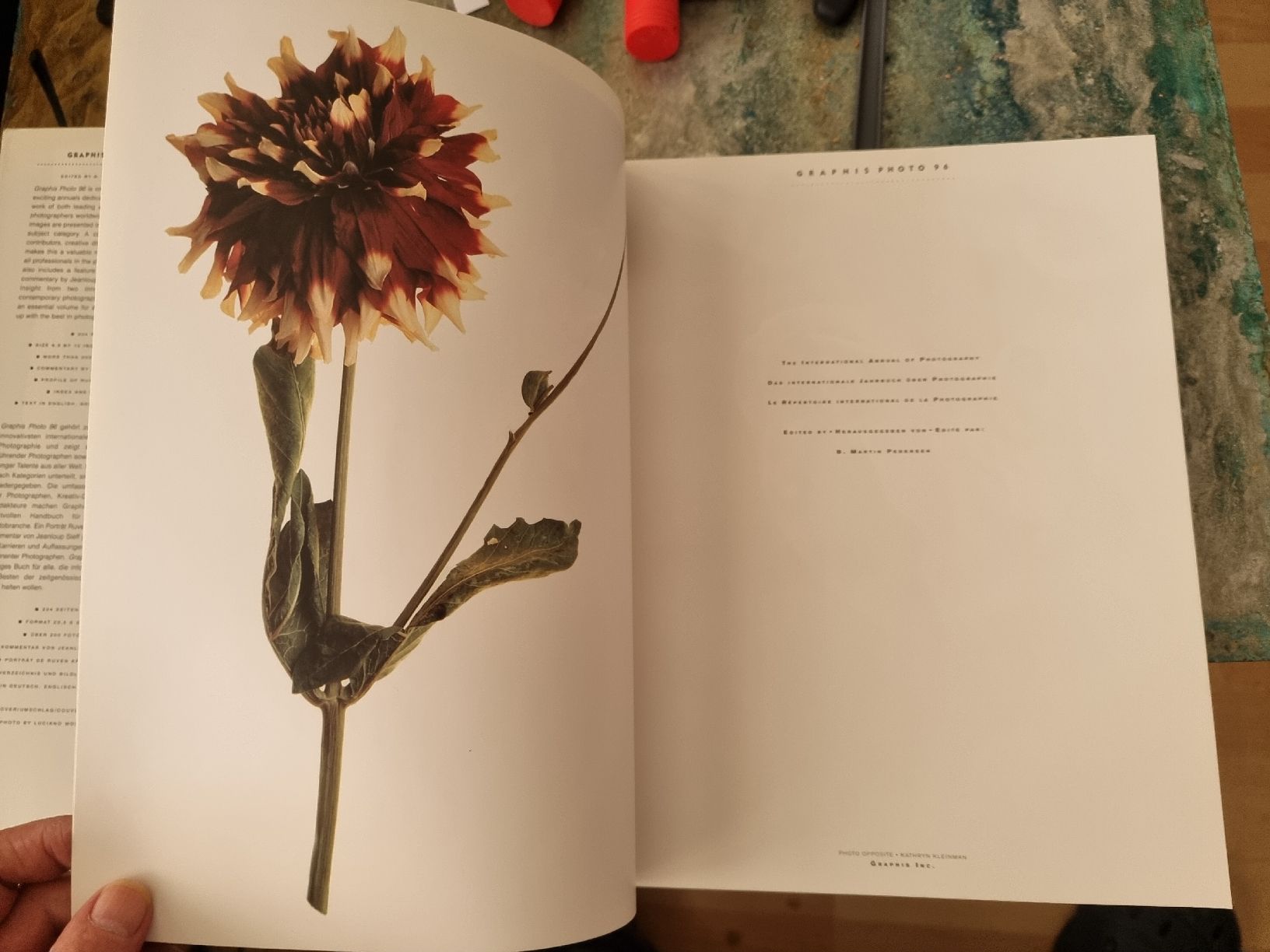 Libri: Große Graphis Photo Sammlung 1966–1997   – Usato da Winikon venduto da raynick 3