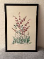 ANDRÉ BRASILIER  (Saumur 1929 - lebt und arbeitet in Paris)