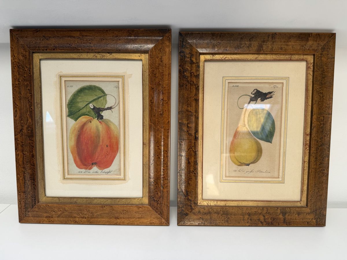 Dipinti: Framed Fruit Painting Apple – Usato da Muttenz venduto da c.car 1