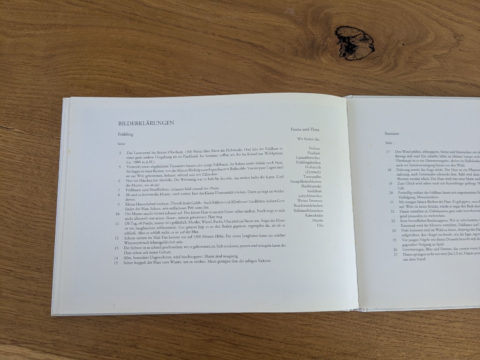 Libri: Peter Bergmann - Hasenjahr - Zytglogge – Usato da Wohlen AG venduto da merkur0300 7