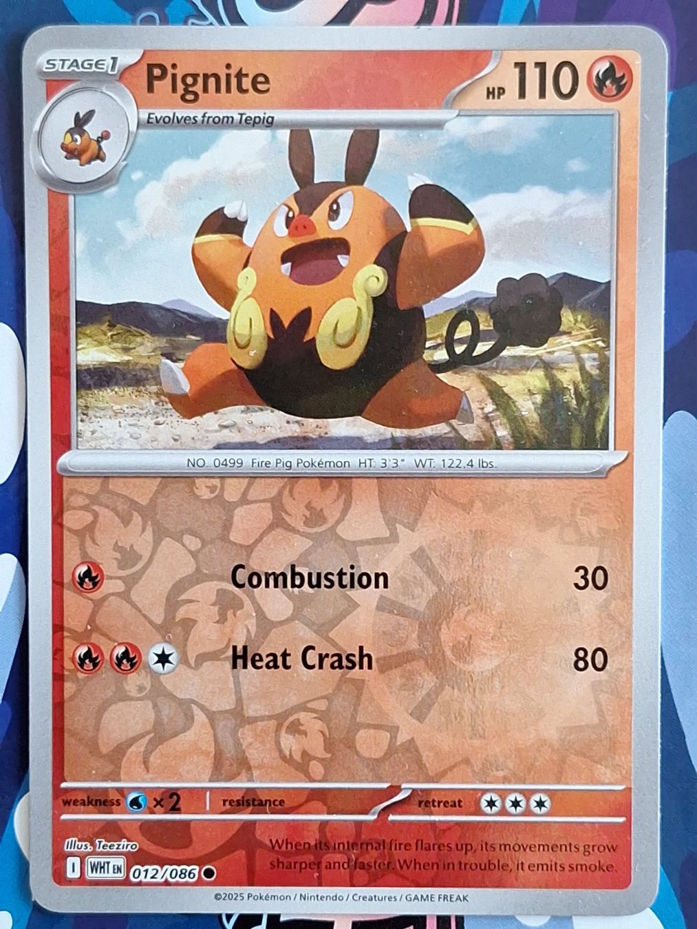 Pokémon Carte collezionabili: Pignite - Reverse Holo Pokemon White Flare - #7.5 – Usato da Altstätten SG venduto da GGsGameshop