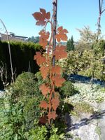 Rost: Rebe Traube Wein Stab zum Stecken Gartendekoration NEU