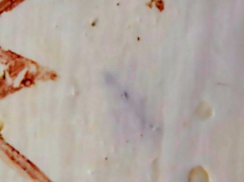 Zuckerdosen: Meissen Teedose Purpur 1750 – Gebraucht aus Opfikon von koiliebhaber 6