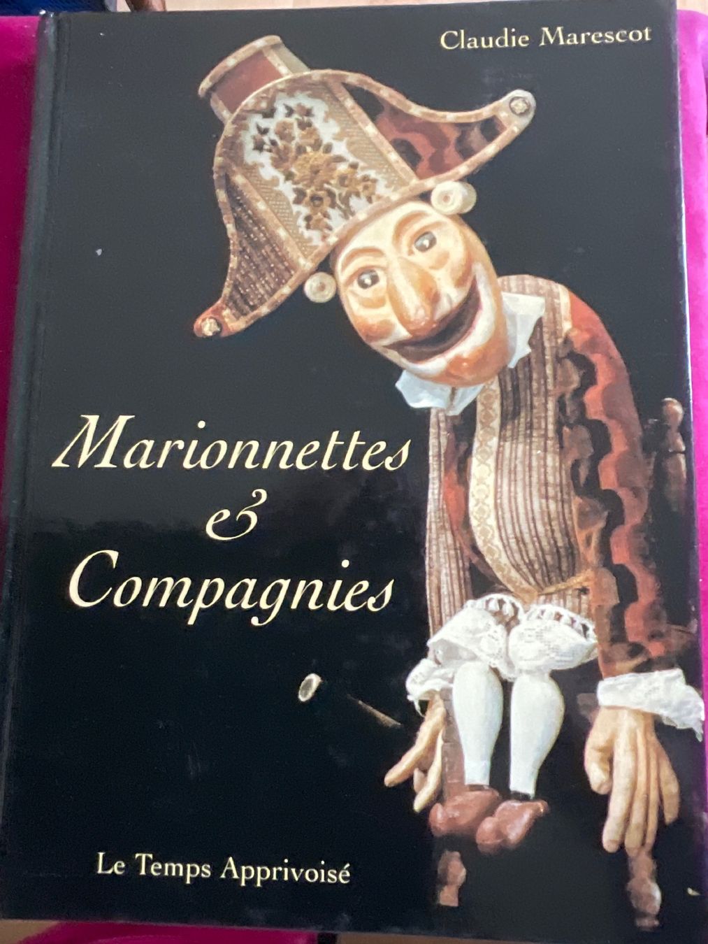 Libri: Marionettes et Companies – Usato da Biel/Bienne venduto da heygio