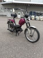 Pony gtx mit Ausweis 