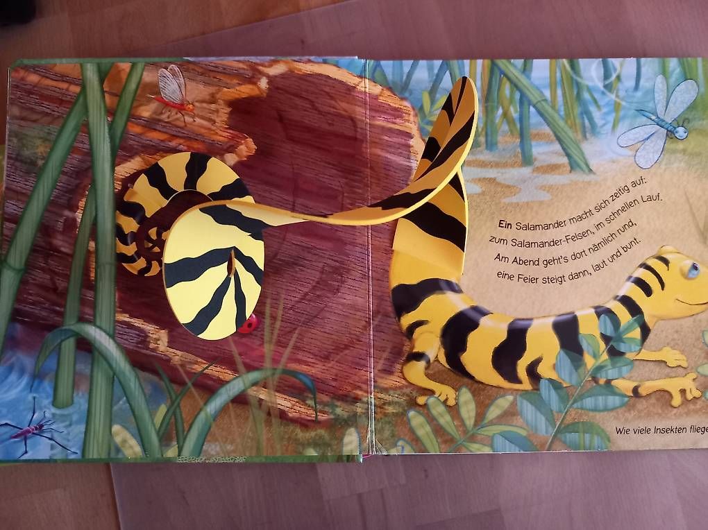 Libri: Kinderbuch – Usato da Ebnat-Kappel venduto da 10camper
