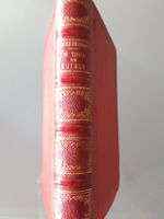 Duverney, Jacques. Un tour en Suisse, illustriert 1877 !