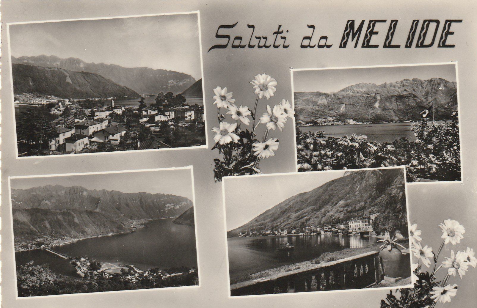 Cartes postales: Melide 4-bildrig – D'occasion à Rorschacherberg par fratovi2