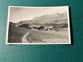 AK Lenzerheide-See. gest. 1933 PARPAN.