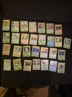 Pokemon - Dschungel mit Pikachu