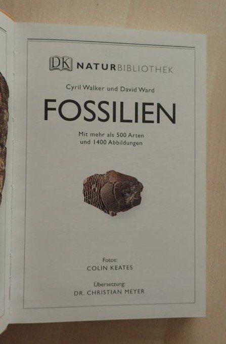 Libri: Fossilien Bestimmungsbuch – Usato da Rickenbach BL venduto da Oktober68 1