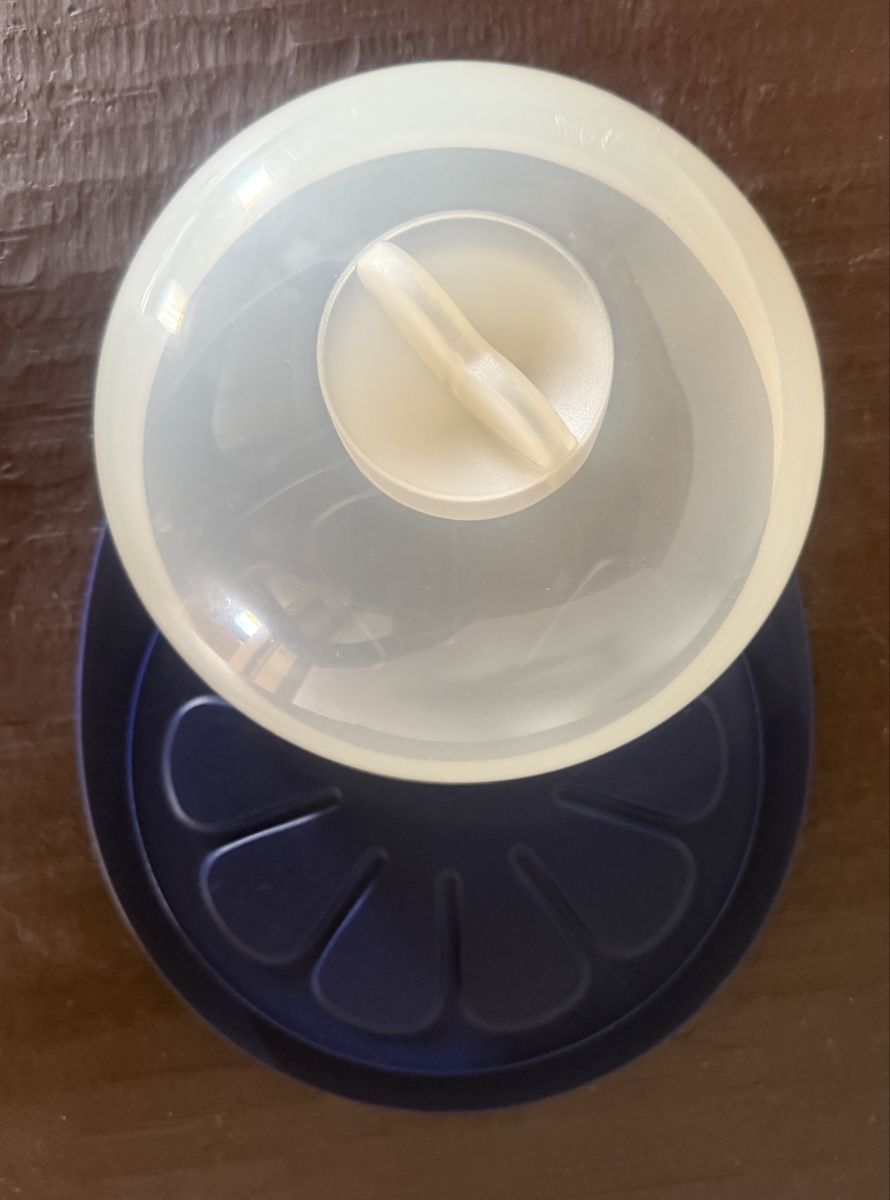 Tupperware Contenitori & Simili: Tupperware Käseglocke – Nuovo (secondo la descrizione) da Flumserberg Saxli venduto da delfinli67 1