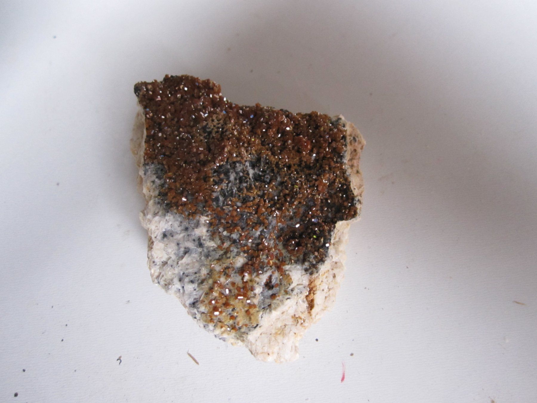 Fossili: Vandinit Neufund Maroko – Nuovo (secondo la descrizione) da Weier im Emmental venduto da waefler03 1
