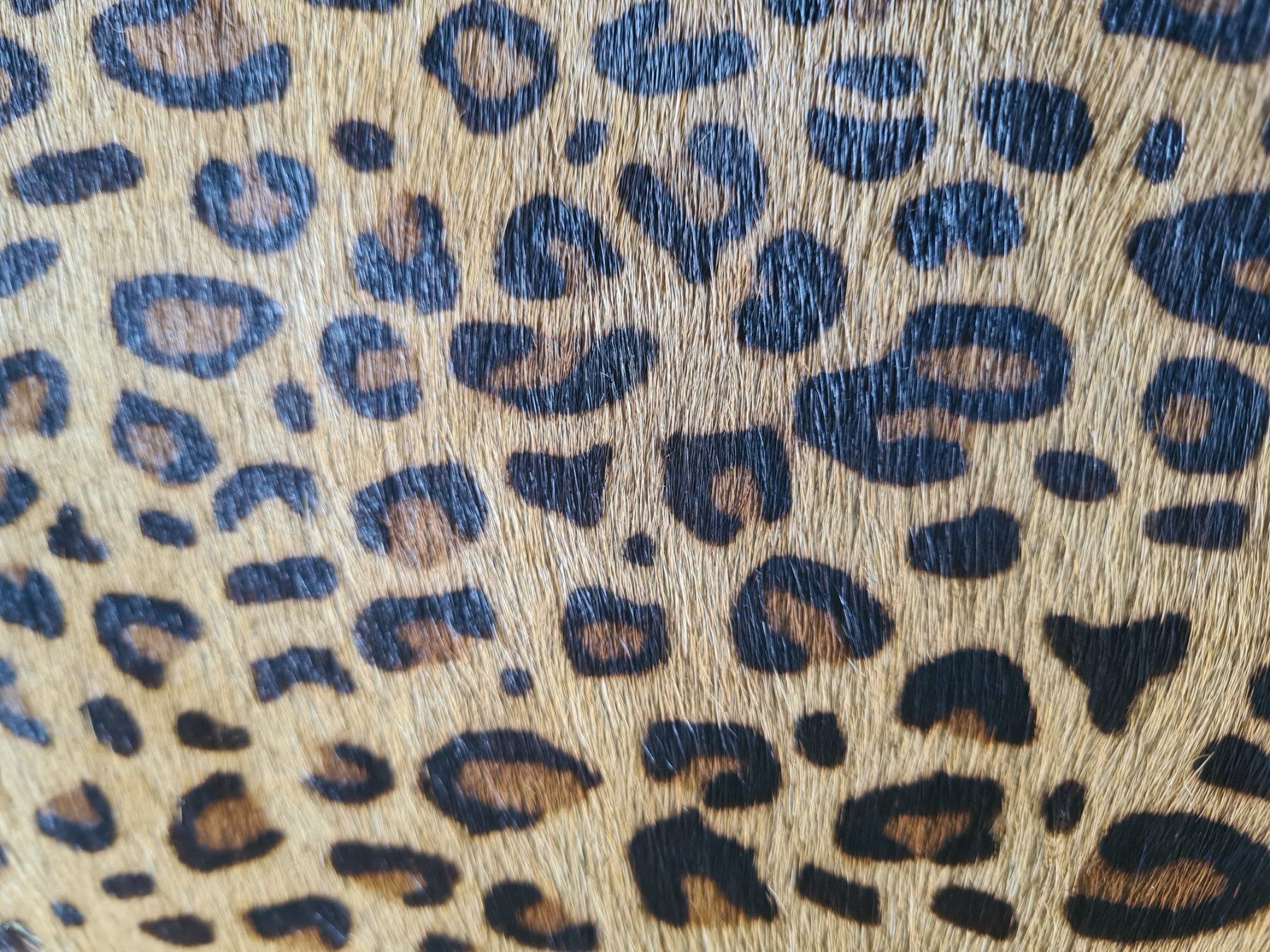 Zaini: Handmade NEW leather backpack leopard print – Nuovo (secondo la descrizione) da Zürich venduto da monadiederich 6
