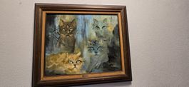 Tableau de chats vintage encadré, artiste signée Vérone