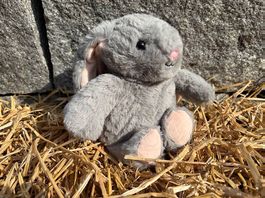 Das Häslein Fridolin  zum Adoptieren