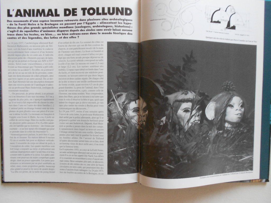 BD: Le sortilège du bois des brumes – D'occasion à Bex par Giorgiob 3