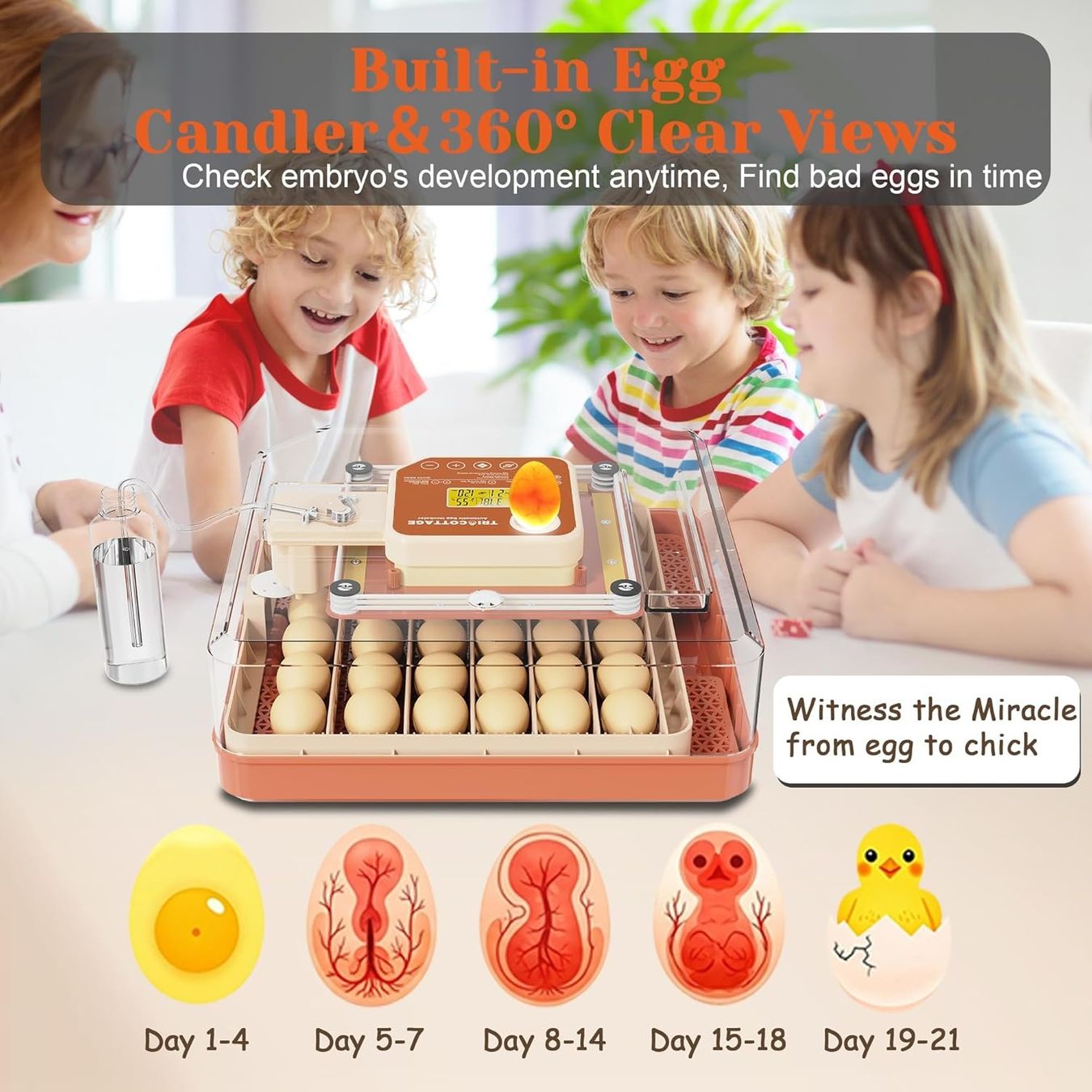 Autres accessoires pour animaux: Brutautomat 48 Eier vollautomatisch Inkubator LED Display – Neuf avec emballage d'origine à Wittenbach par SELVARO 1