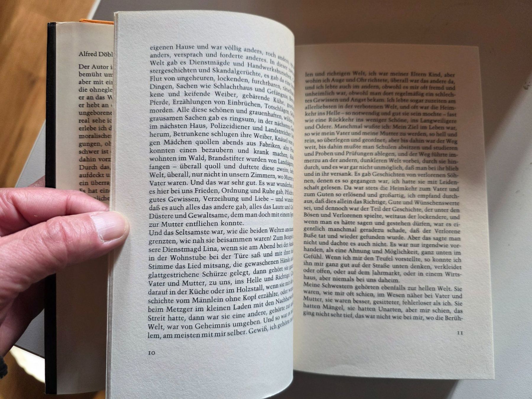 Libri: Hermann Hesse Demina - suhrkamp Buch – Usato da Walterswil BE venduto da Lonitti 5