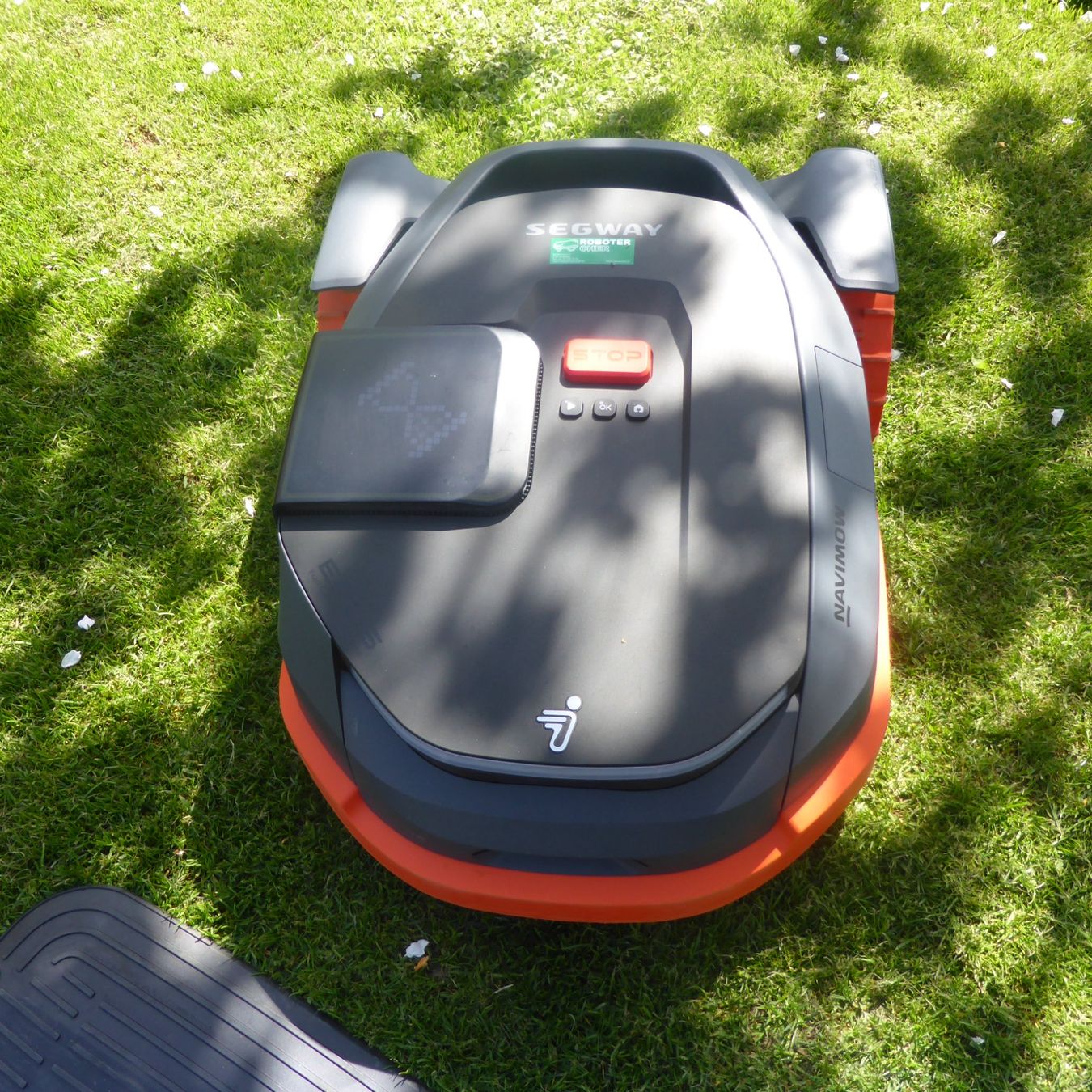 Segway Tagliaerba: Segway Navimow X315E – Usato da Düdingen venduto da notteG 5