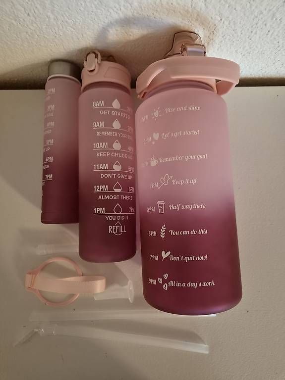 Borracce & Thermos: 3 Trinkflaschen mit Zeitmarkierung  Pink – Usato da Riniken venduto da ben_mwp5