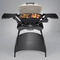 Weber Q2000 BBQ Tisch