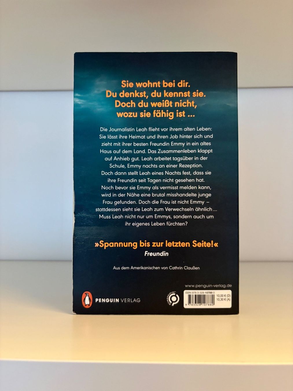 Libri: Little Lies - Megan Miranda – Usato da Steffisburg venduto da elsa.catalina 1