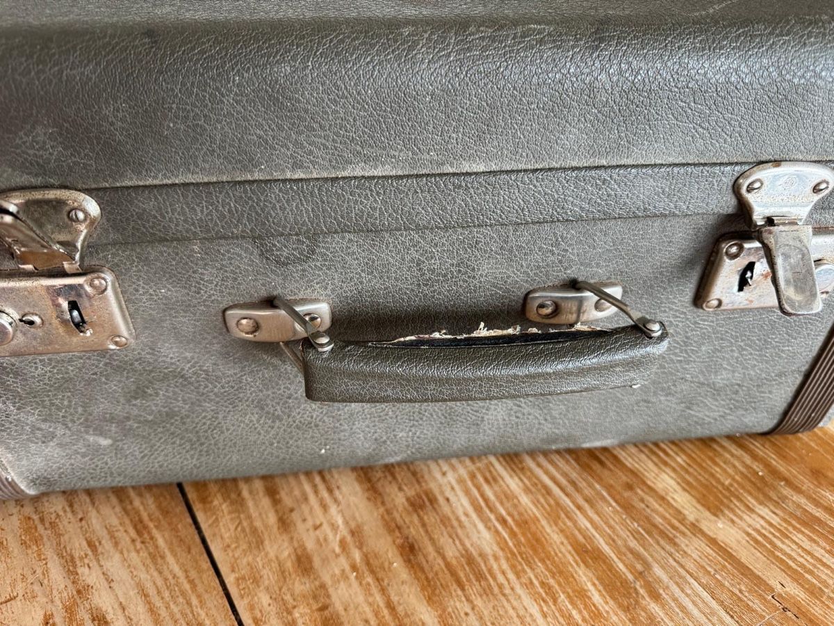 Hohner Strumenti musicali: Hohner Riviera II Akkordeon – Usato da Meilen venduto da Liebling_sachen 5